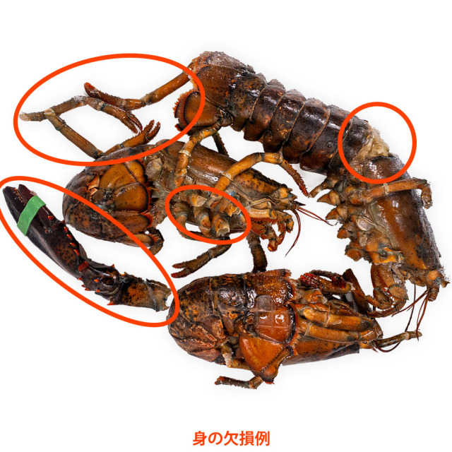 スープ／出汁用オマール海老