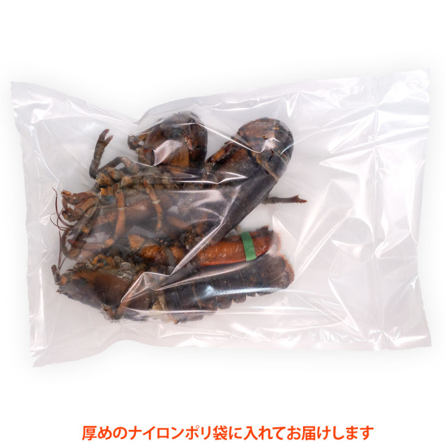 スープ／出汁用オマール海老