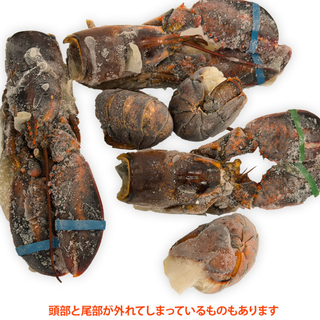 スープ・出汁用オマール海老