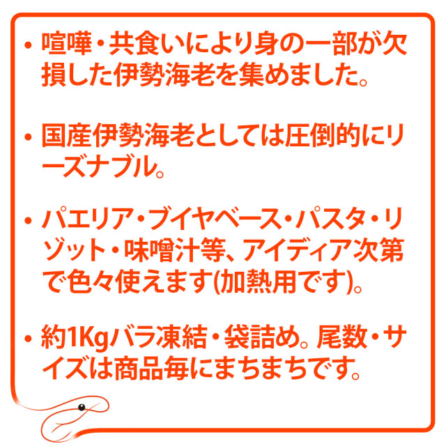 スープ／出汁用国産伊勢海老トピック