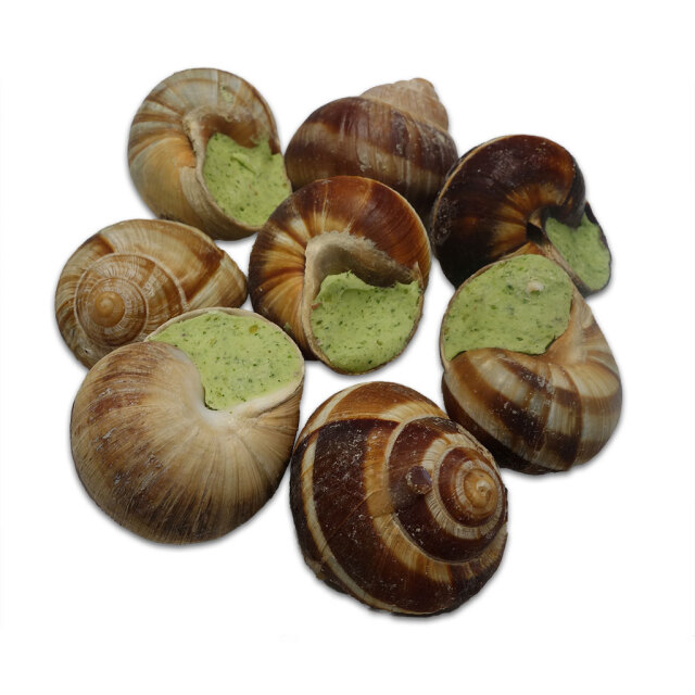 殻付きエスカルゴ集合