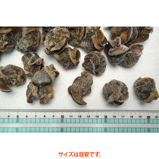 エスカルゴミートサイズ