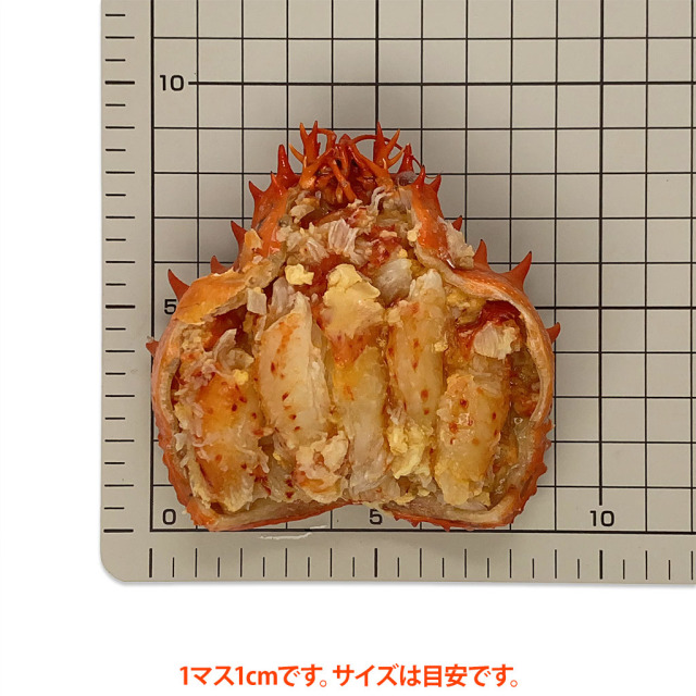 花咲がに甲羅詰めサイズ