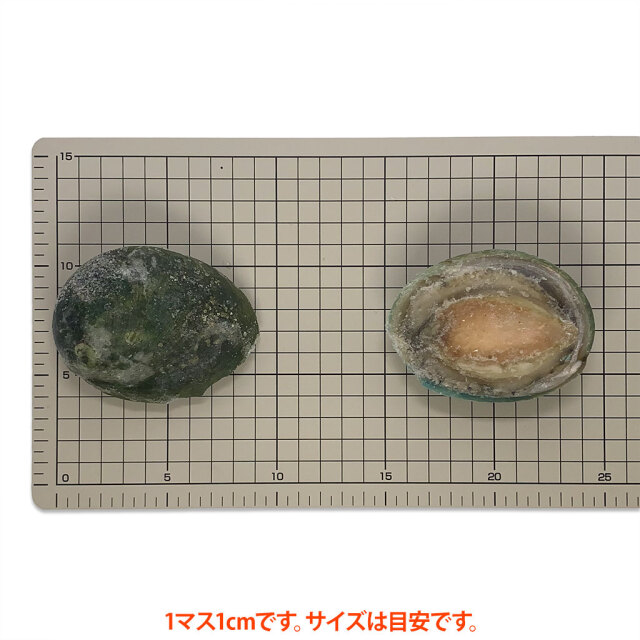 翡翠の瞳サイズ