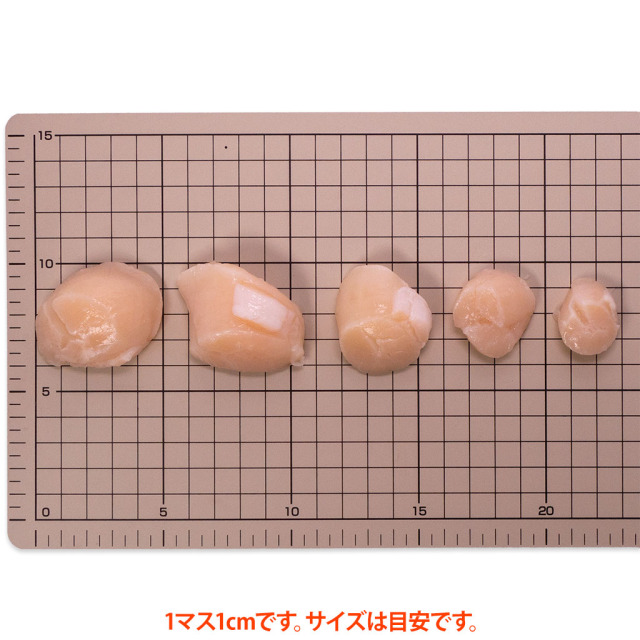 ホタテ貝柱割れ品サイズ
