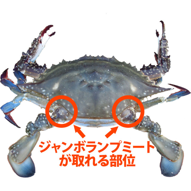 渡り蟹 ジャンボランプミート パスチャライズクラブミート