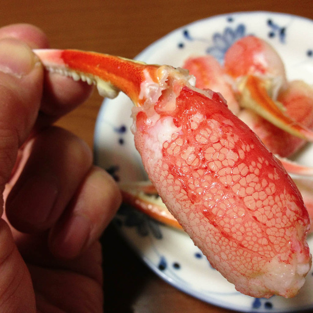 ずわいがに蟹爪（一本爪）通販／販売の「特正」です。