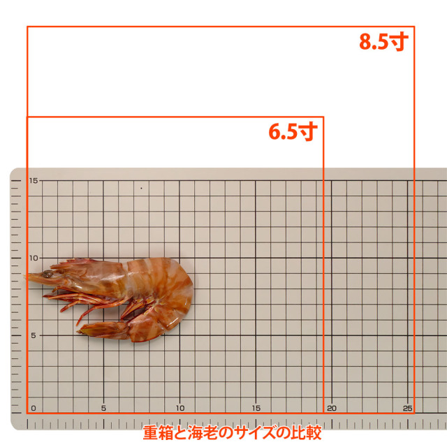 お刺身天然海老IQF「かつ冷」 重箱との比較