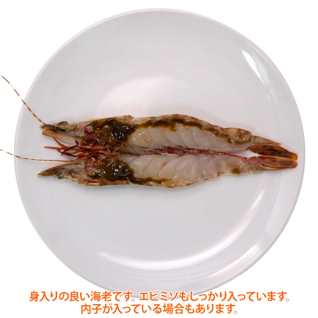 お刺身天然海老IQF「かつ冷」 開き