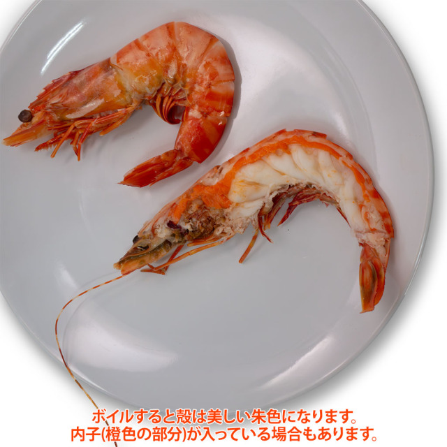 お刺身天然海老IQF「かつ冷」 ボイル色合い