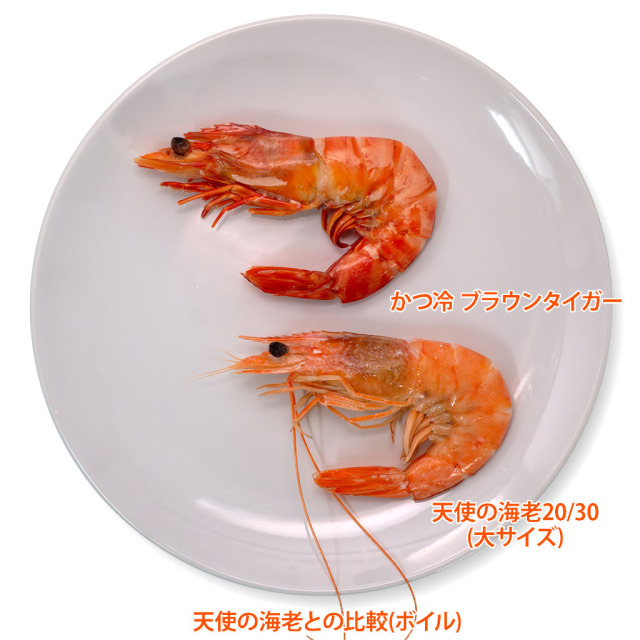 お刺身天然海老IQF「かつ冷」 天使の海老とボイル比較
