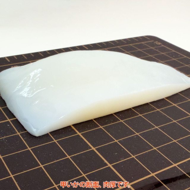 甲イカ(中サイズ)肉厚