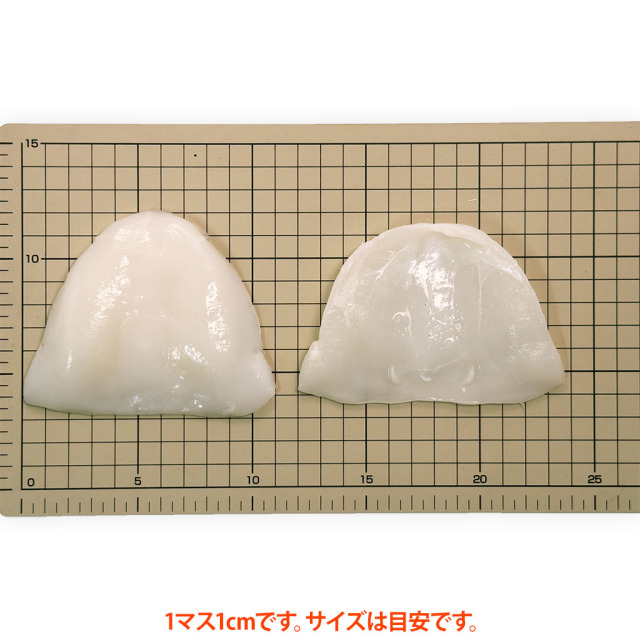 甲イカ(中サイズ)サイズ