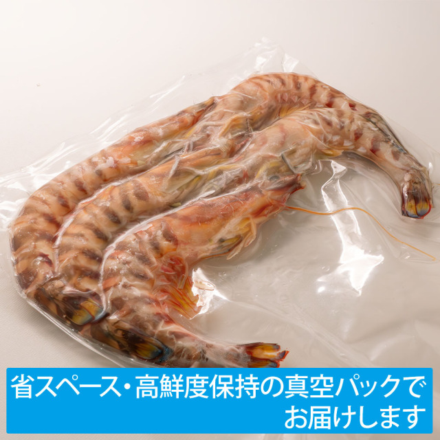 加熱用車えびパッケージ