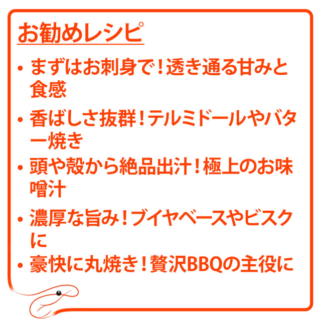 ブラジル産スパイニーロブスター レシピ