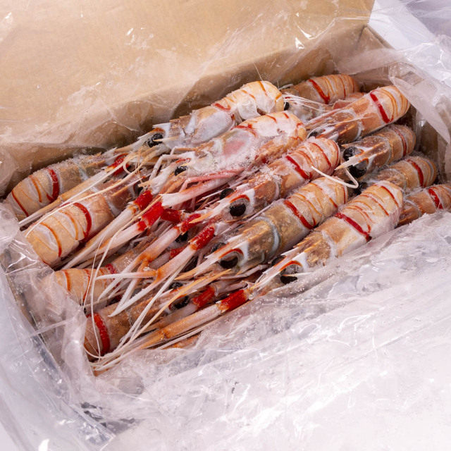 スカンピ(ラングスティーヌ)、通販／販売の「特正」