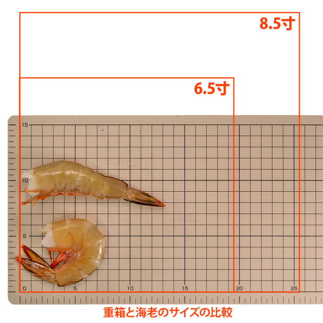 赤海老 赤えび 2kg 特大 L2 40〜60尾 業務用 1箱 赤エビ あか