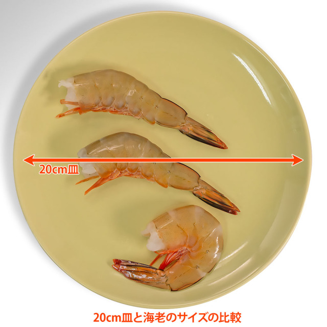 えび様 Amazon | 超超超特大サイズ 約16尾～24尾入り 4/6サイズ 1.8kg