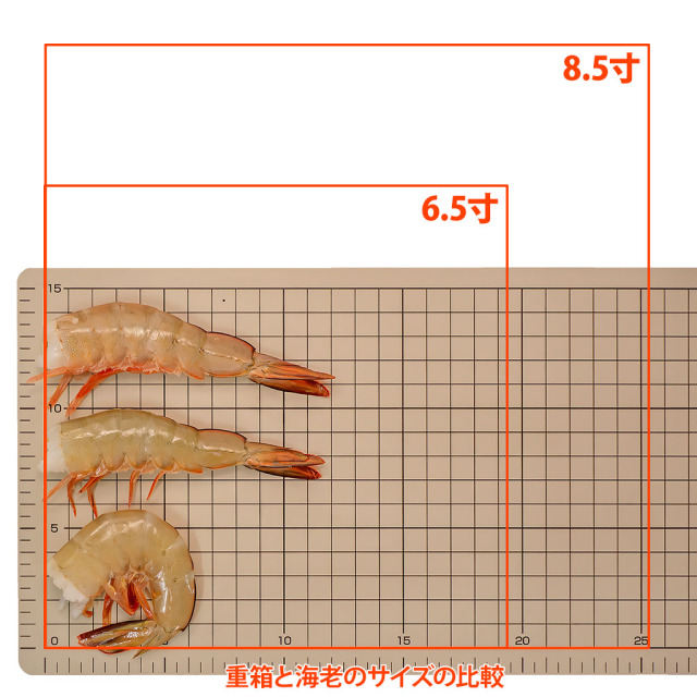 天然・無添加・無頭21/25 重箱サイズ比較