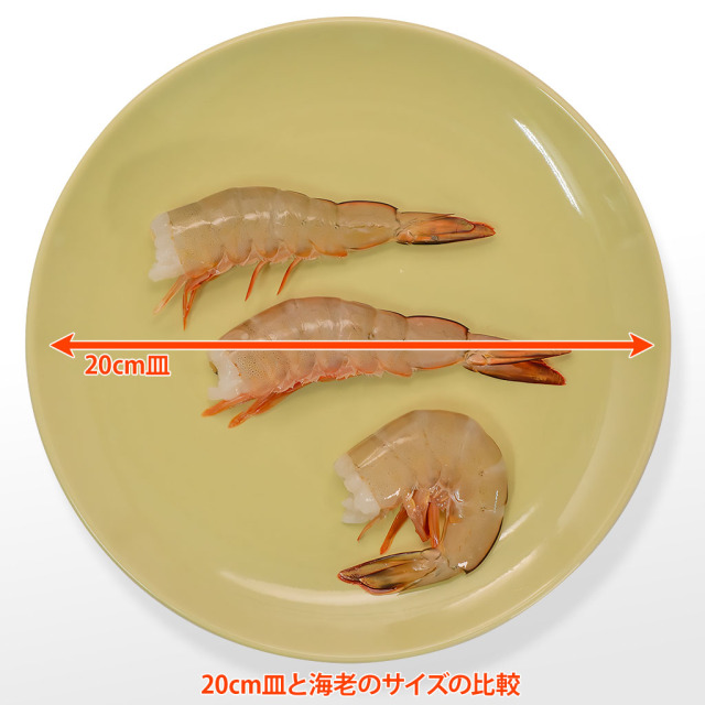 天然・無添加・無頭21/25 皿サイズ比較