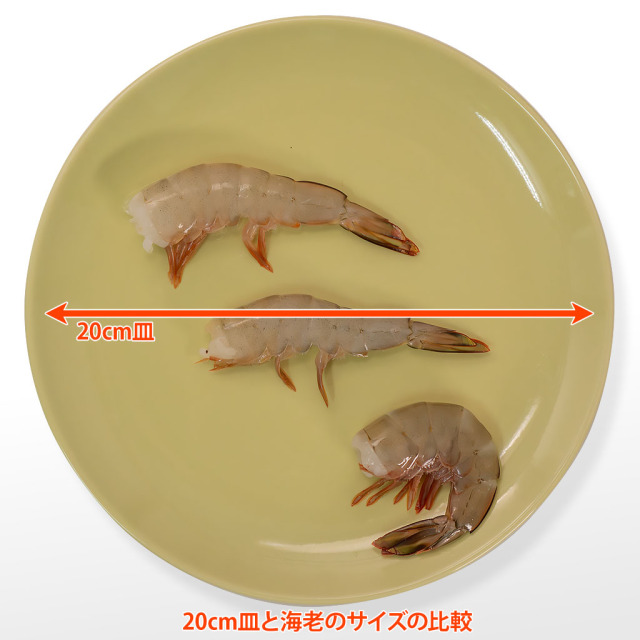天然・無添加・無頭31/40 皿サイズ比較