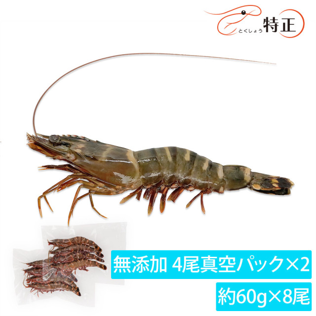 天然・無添加・有頭シータイガー4尾×2