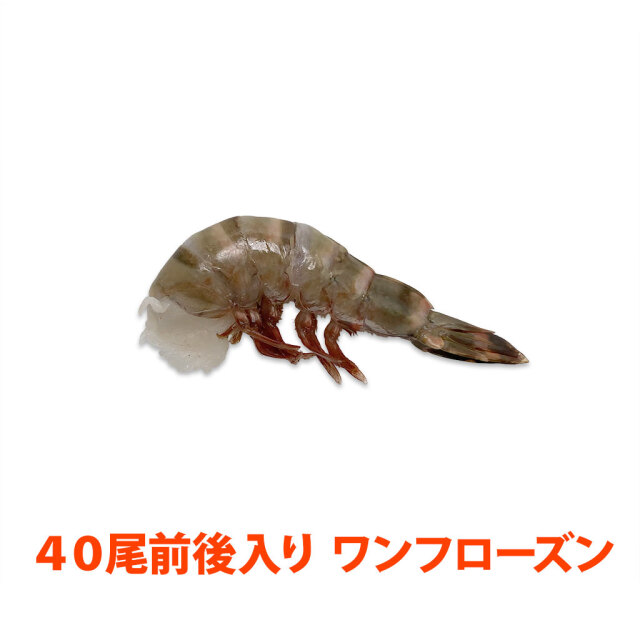 ★デッカイ！シーサー1800mℓ［35年以上］ 青切りシークヮーサー 500ml: お酒・ドリンク｜サンエー