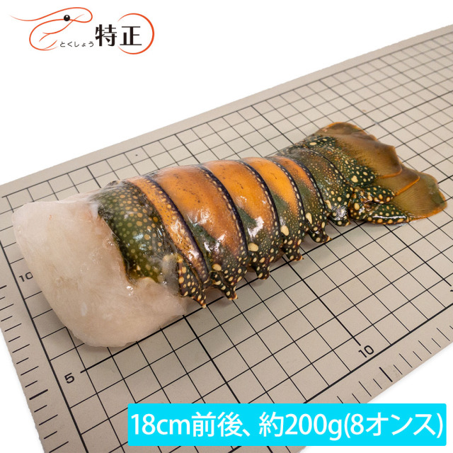ブラジル産ロブスターテール8oz