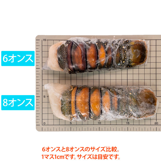 ブラジル産スパイニーロブスター8oz