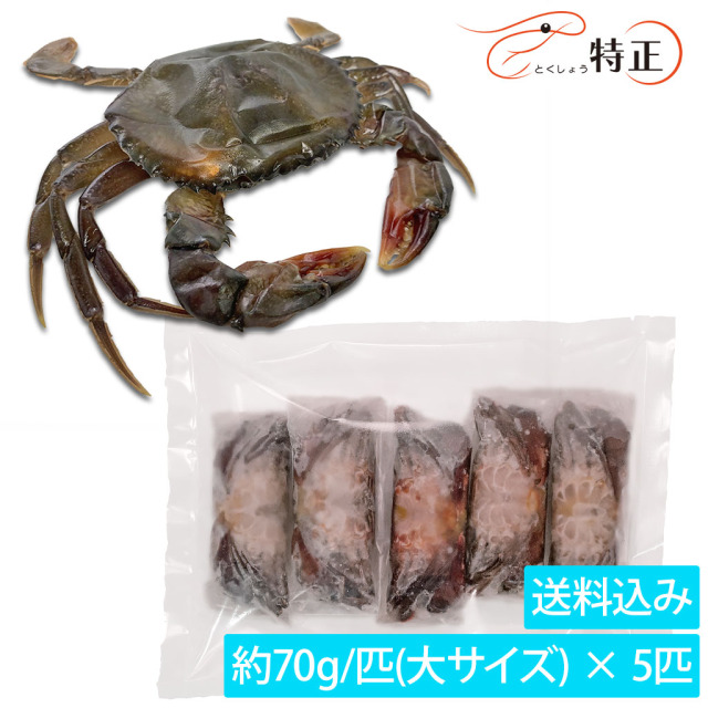 ソフトシェルクラブ大5匹