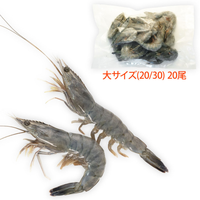 一番大きなサイズ、天使の海老(規格:20/30)通販の「特正」