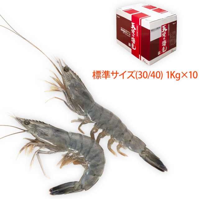 一番使い易いサイズ、天使の海老(規格:30/40)業務用10Kg、通販の「特正」