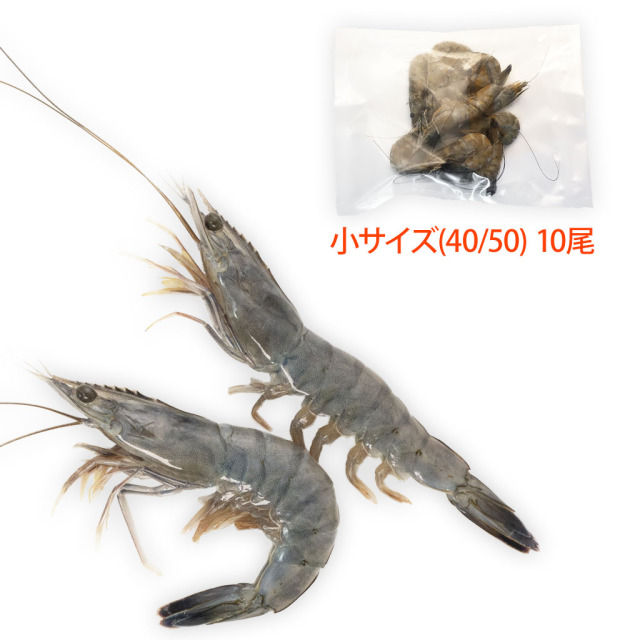 少し小ぶりなサイズ、天使の海老(規格:40/50)10尾袋入り、通販の