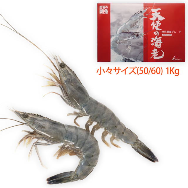 お探しの海老がきっと見つかる、えび通販/販売の「特正」