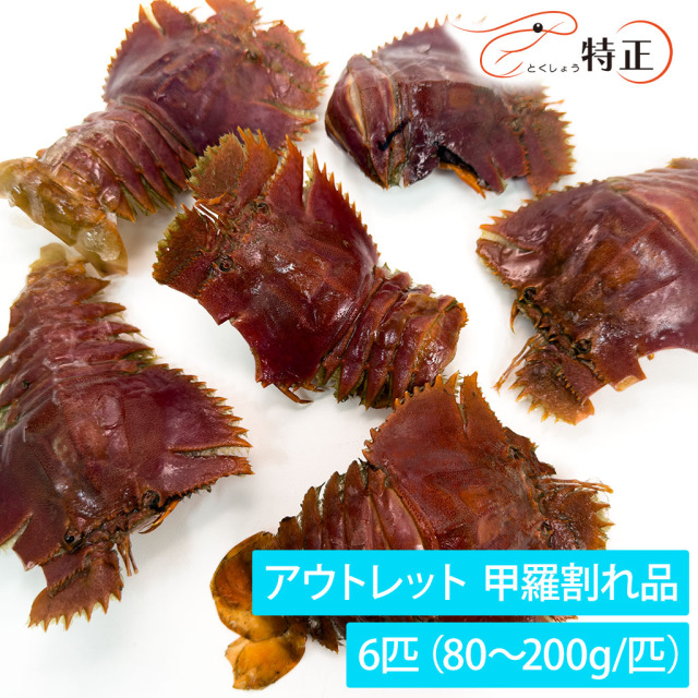 【訳あり・割れ品】活〆うちわ海老（80〜200g/匹） 6匹