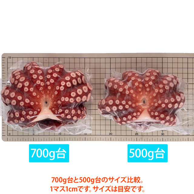 500gと700gの比較