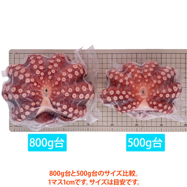 500gと800gの比較