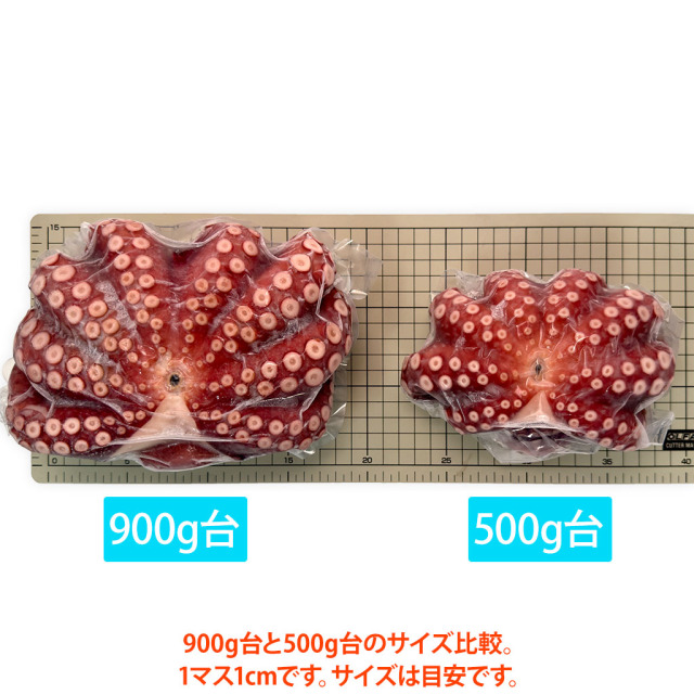金楠・明石のゆでだこ900g/500g比較