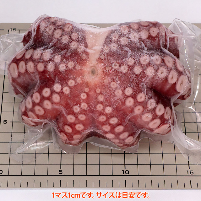 金楠・明石のゆでだこ一杯500g台、通販／販売の「特正」です。