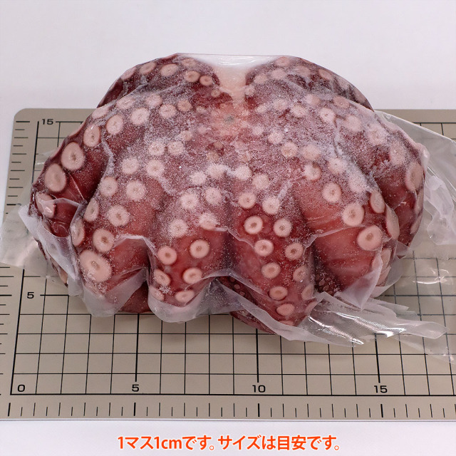 金楠・明石のゆでだこ700g台