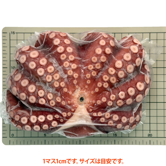 金楠・明石のゆでだこ900g