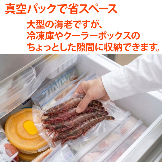 ジャンボ有頭シータイガー省スペース