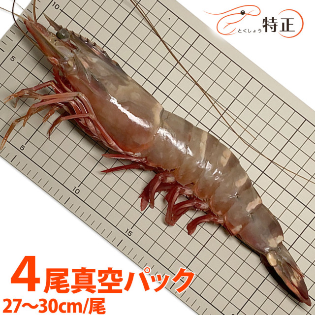 スーパージャンボ有頭シータイガー海老通販／販売の「特正」です。