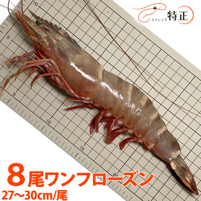 スーパージャンボ有頭シータイガー海老通販／販売の「特正」です。