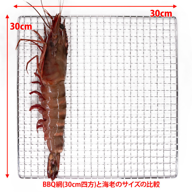 スーパージャンボ有頭シータイガー海老通販／販売の「特正」です。