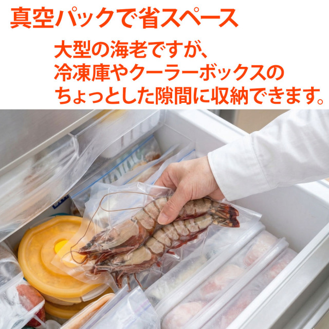 スーパージャンボ有頭シータイガー省スペース