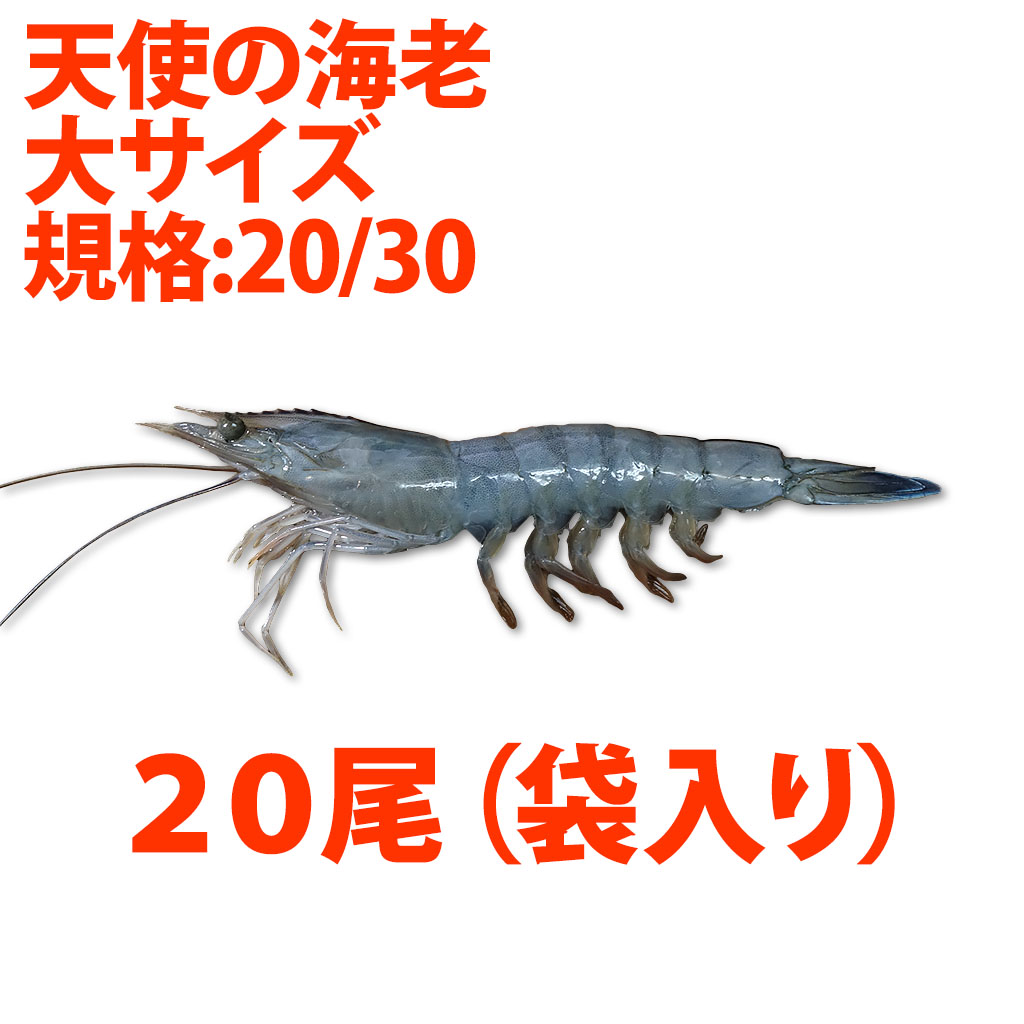 天使の海老通販の特正