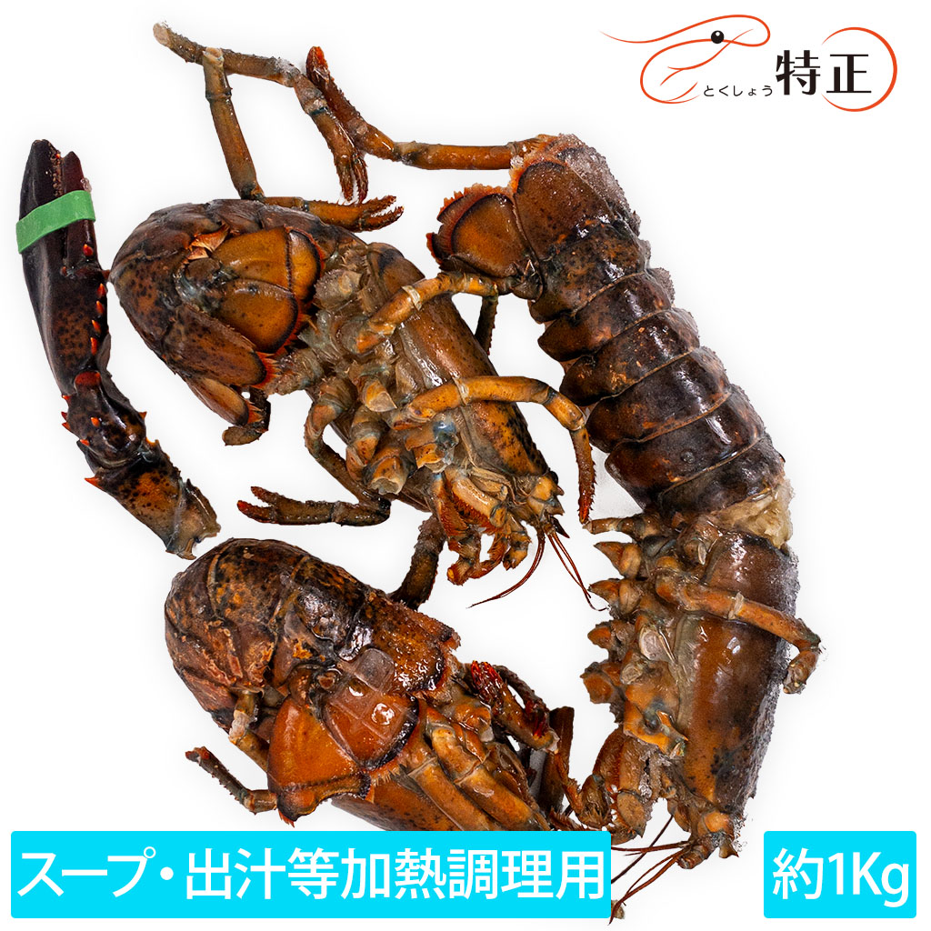 スープ／出汁用オマール海老