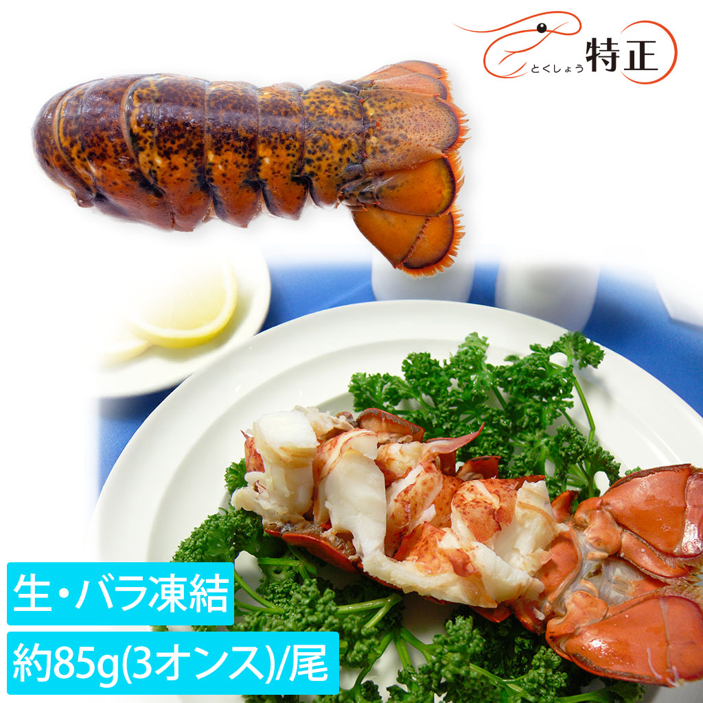 オマールテールメイン画像