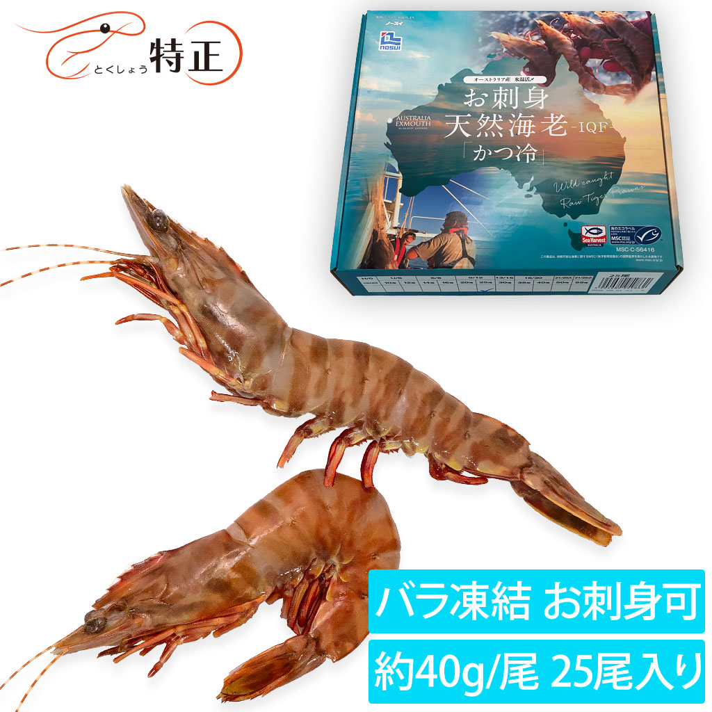 お刺身天然海老IQF「かつ冷」 メイン画像